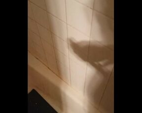 Big Dick Shower Wall