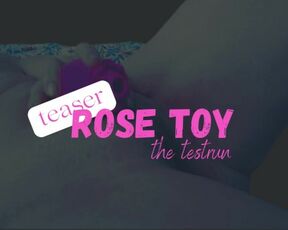 Teaser Rose Toy Testrun SC-style