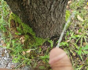 pissing on a tree